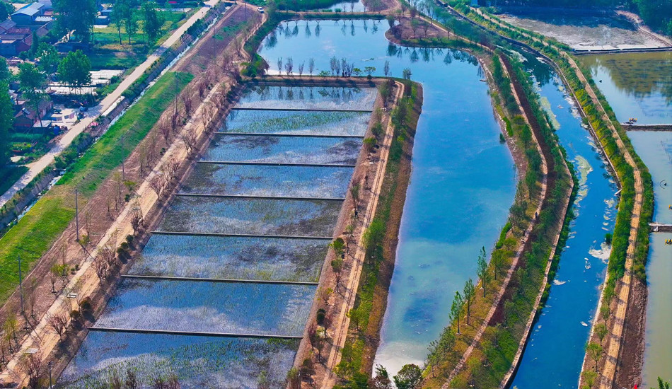 宿遷市宿豫區順堤河水生態保護與修復工程